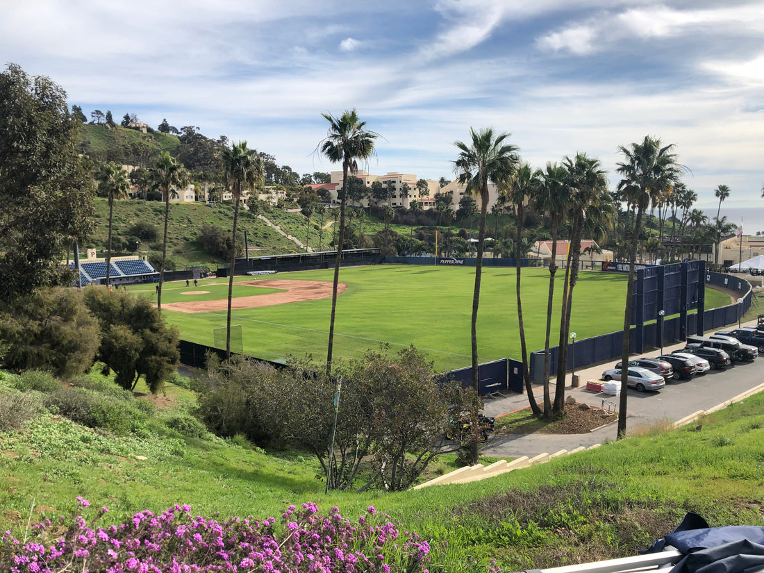 Baseball Lifestyle 101 Attends California Strong Celebrity Softball Game